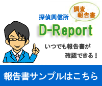 調査報告書D-Report